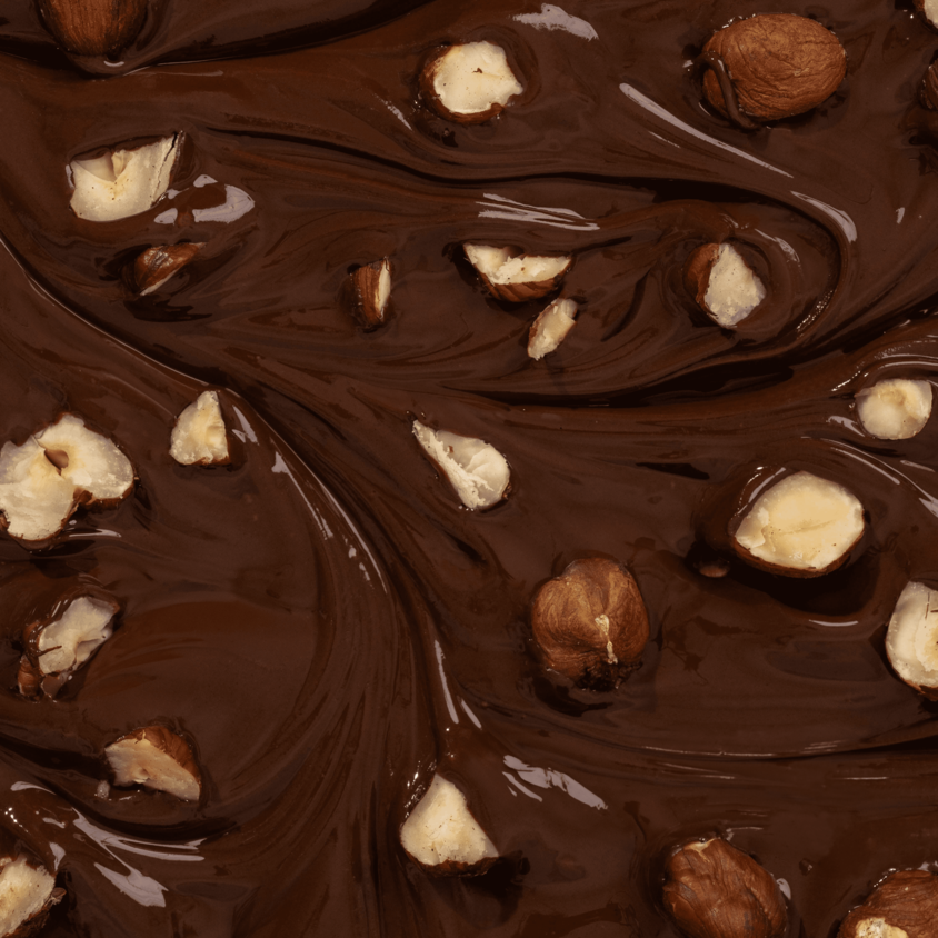 Barre protéinée Chocolat noir Noisette (x12)